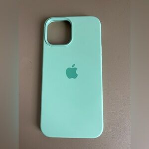 Mint green - iPhone 12pro Max case